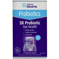 Herbs of Gold Zinc Chewable 60 Tablets