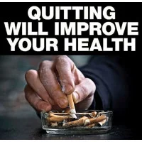 Pax Grip Sleeve  Sage