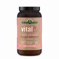 Vital Protein Powder Strawberry 500g