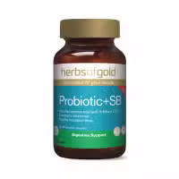 Herbs of Gold Probiotic plus SB 60 Capsules