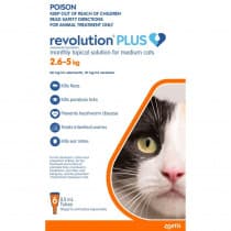 Revolution Plus for Medium Cats 2.6 - 5kg Orange 6 Pack