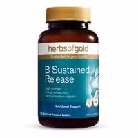 Herbs of Gold B Sustained Release 120 Tablets