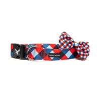Soapy Moose Dog Collar Extra Small The Trendsetter