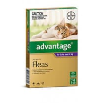Advantage Cat 4kg+ 4 Pack