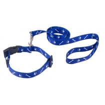 Vetalogica Play-N-Learn Collar & Lead Set Blue