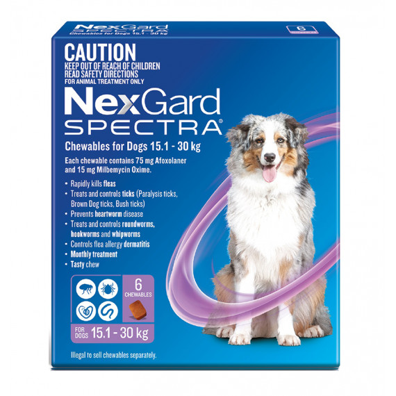 Nexgard Spectra Chewables For Large Dogs 15.1 30kg Purple 6 Pack