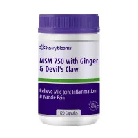 Henry Blooms MSM 750 with Ginger And Devils Claw 120 Capsules