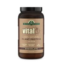 Vital Protein Powder Chocolate 500g